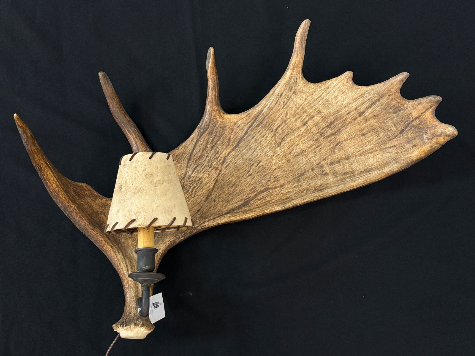 Moose Antler Wall Sconce (1 of 2)