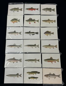 20 Denton Colored Prints