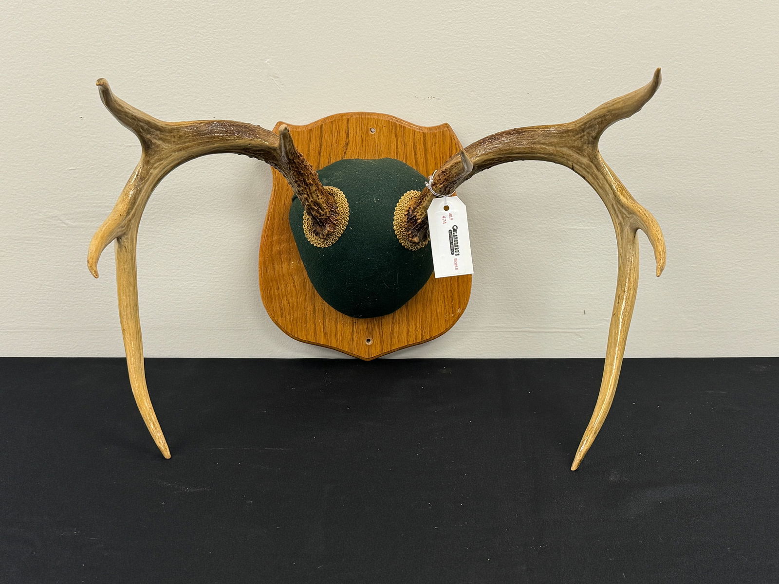 Whitetail Deer Rack on an Oak Plaque (1 of 2)