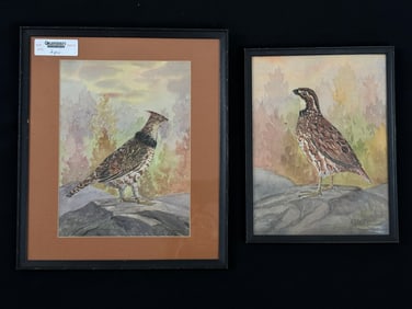 W. B. Gillette Watercolor Paintings of Birds