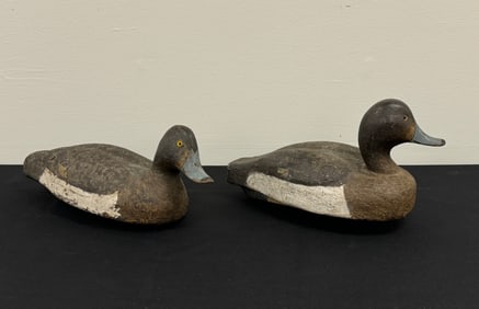 2 Hen Redhead Duck Decoys