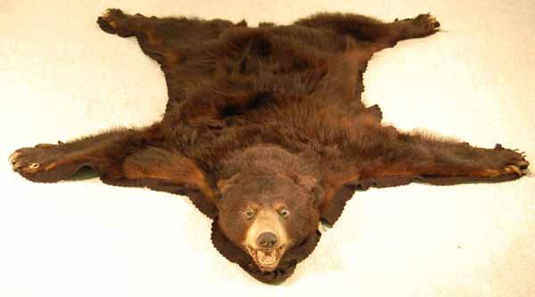 Black Bear Rug