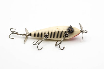 Creek Chub Injured Minnow Special