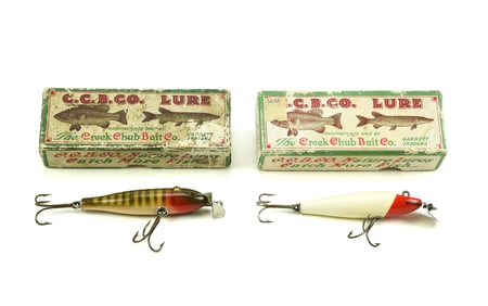 2 Early Creek Chub Baby Pikies