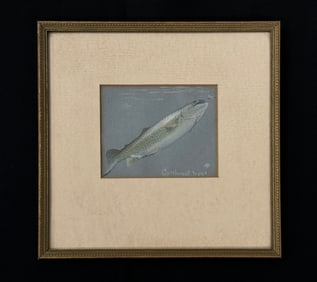 Framed Brayshaw "Cutthroat Trout" Pastel