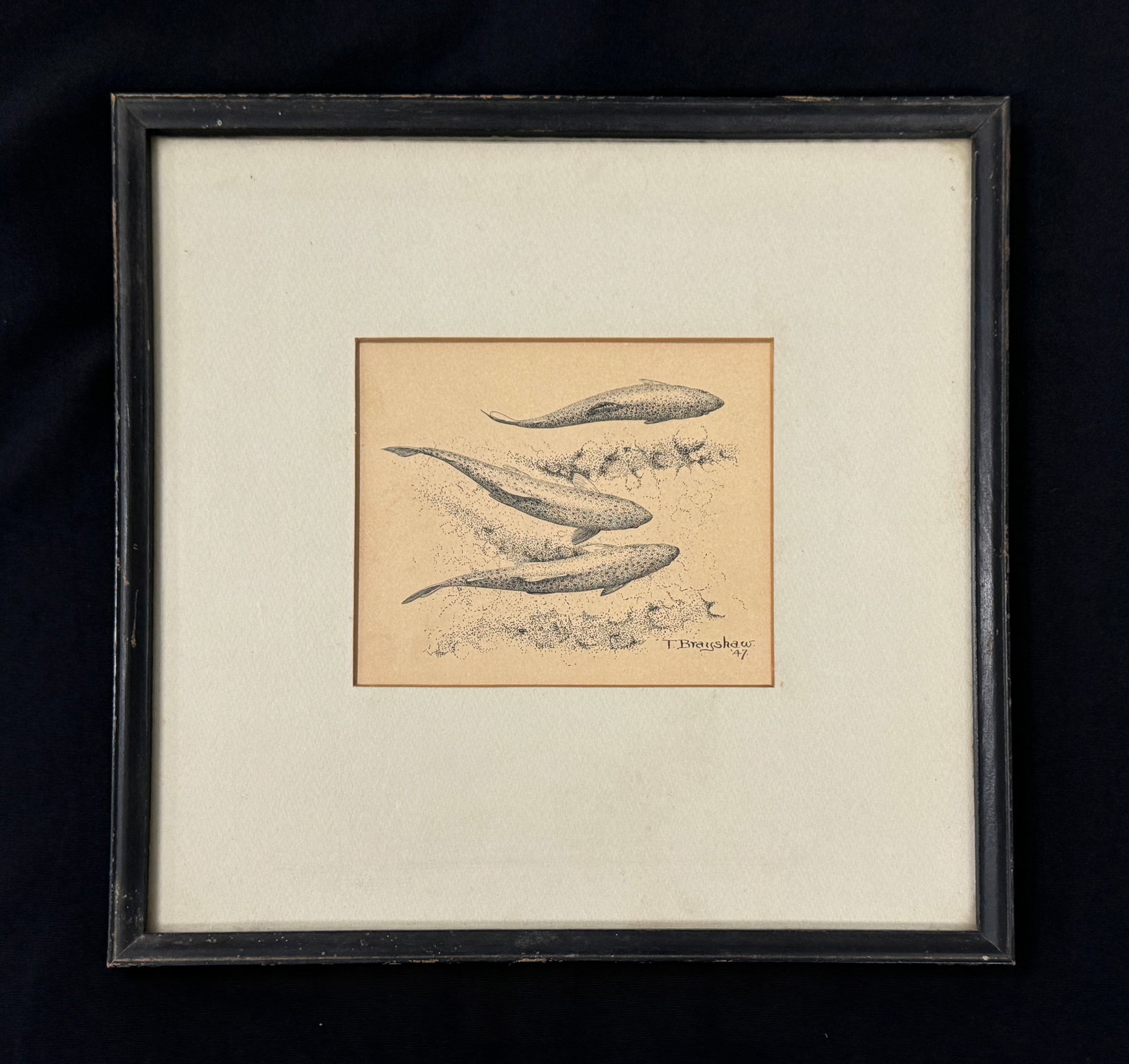 Framed Brayshaw "3 Steelhead" Pen & Ink (1 of 2)