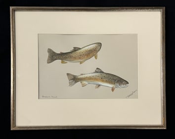Brayshaw Trout Painting - Eugene Connett Owned