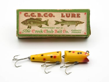 Creek Chub Jointed Darter