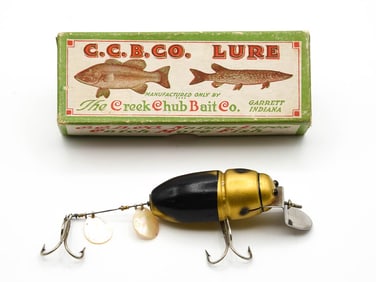 Creek Chub 3854 Beetle