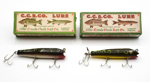 2 Creek Chub Frog Darters