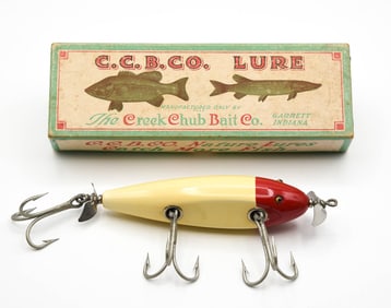 Creek Chub Husky Injured Minnow