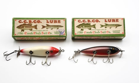 2 Creek Chub Injured Minnows