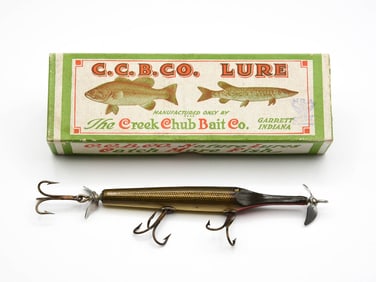 Creek Chub Gar Minnow
