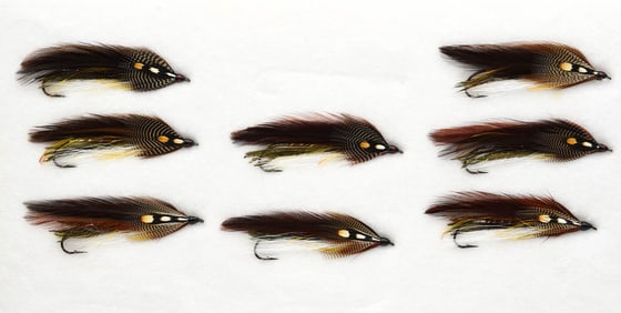 Cullen Streamers after Carrie Stevens