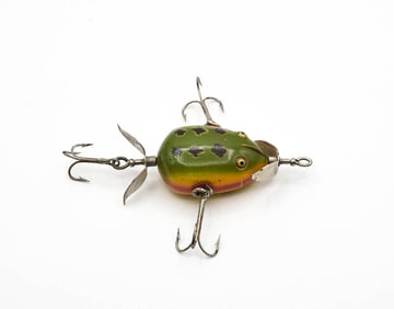 Early Kent Champion Floater