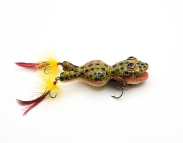 Early Bud Stewart Frog