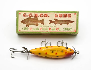 Creek Chub Injured Minnow