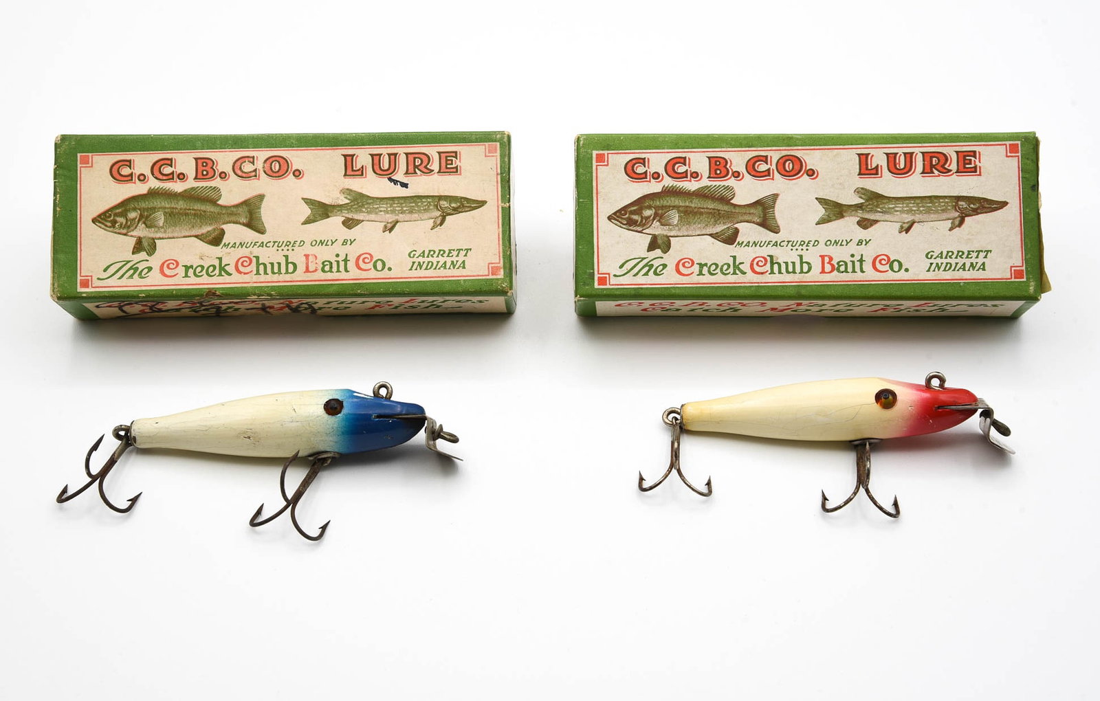 2 Creek Chub Baby Pikies (1 of 4)