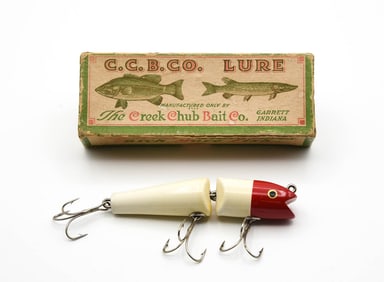 Creek Chub Jointed Darter