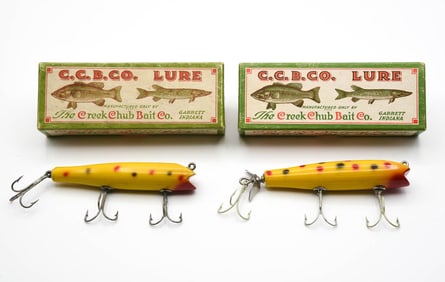 2 Creek Chub 2014 Darters