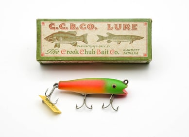 Creek Chub Midget Darter