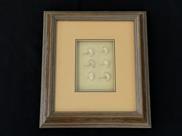 Framed George Grant Flies