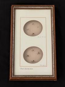 Vintage Harrop "Trout Favorite Series" Flies