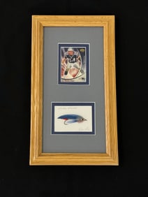 Framed Don Soar "Patriots Streamer"