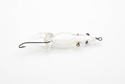 Lowell B. Calkin Glass Frog