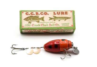 Creek Chub 3853 Beetle