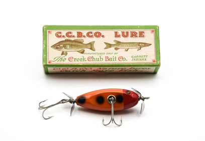 Creek Chub Baby Injured Minnow Special