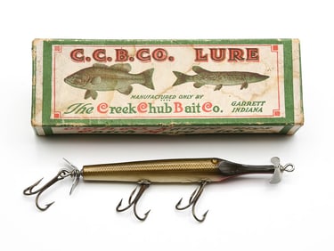 Creek Chub Gar Minnow