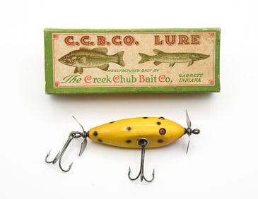 Creek Chub Baby Injured Minnow Special