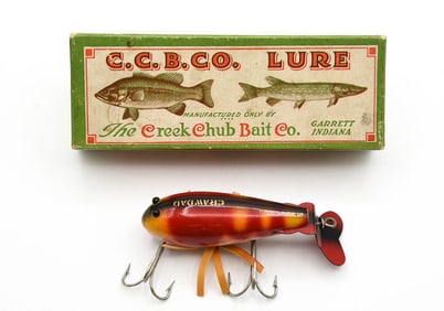 Creek Chub Crawdad