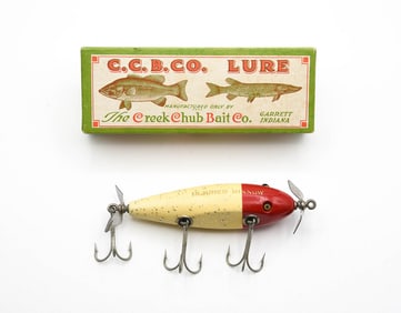 Creek Chub Injured Minnow Special