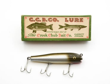 Creek Chub Darter Special