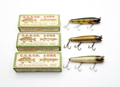 3 Boxed Creek Chub Darters