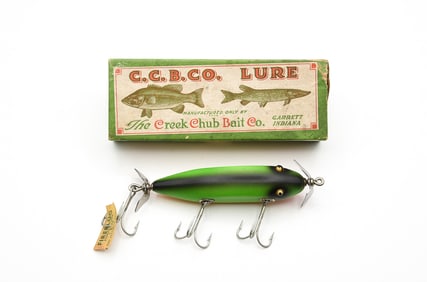 Creek Chub 1532 Injured Minnow