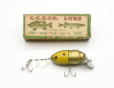 Creek Chub 3851 Beetle