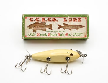 Creek Chub 1517 Injured Minnow