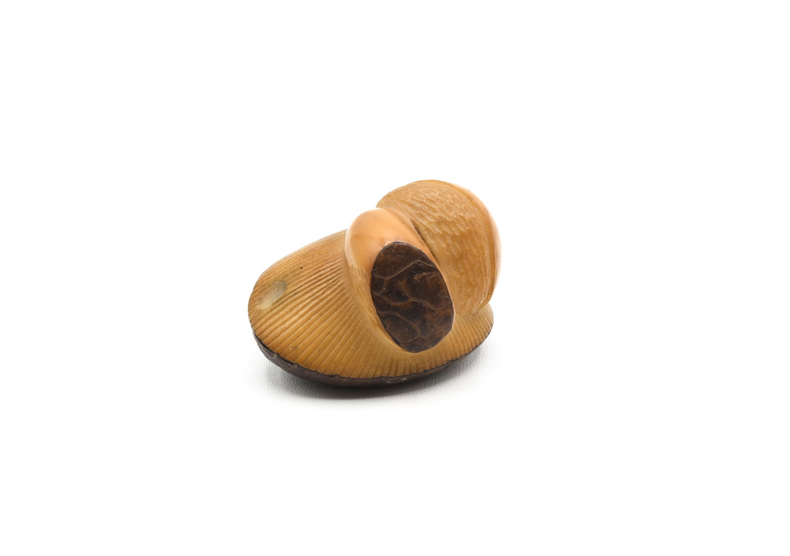 Signed Carved Mushroom & Chestnut Tagau Netsuke (1 of 4)