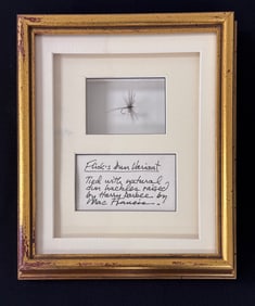 "Flick's Dun Variant" Fly by Mac Francis