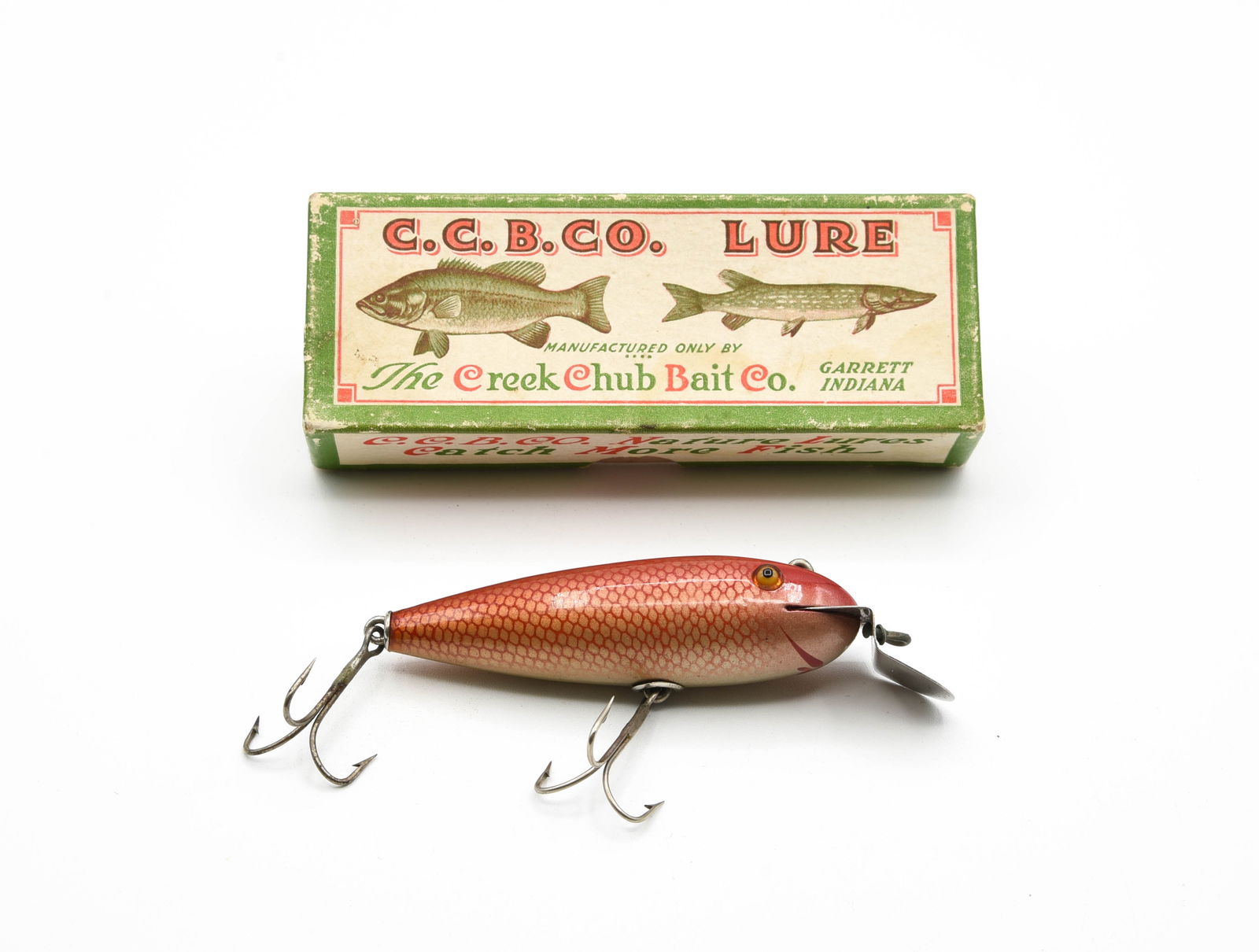 Early Creek Chub Wiggler (1 of 7)