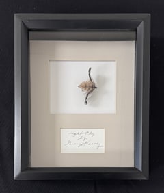George Harvey's "Night Fly"