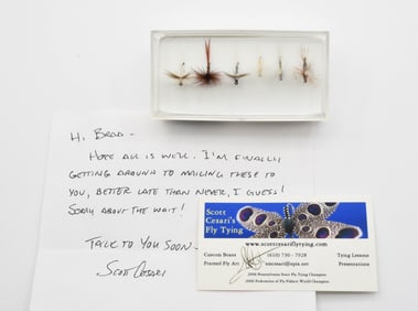 Scott Cesari Dry Flies