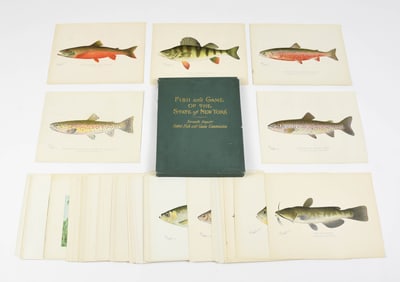 Fish and Game of the State of New York Prints
