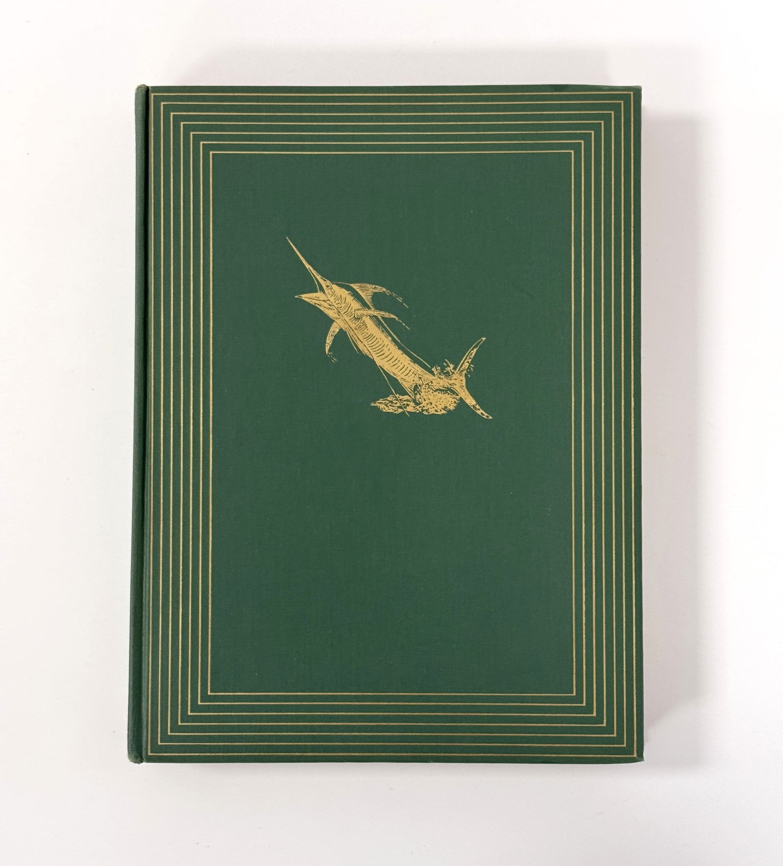 Veiled Horizons - Derrydale (1 of 4)