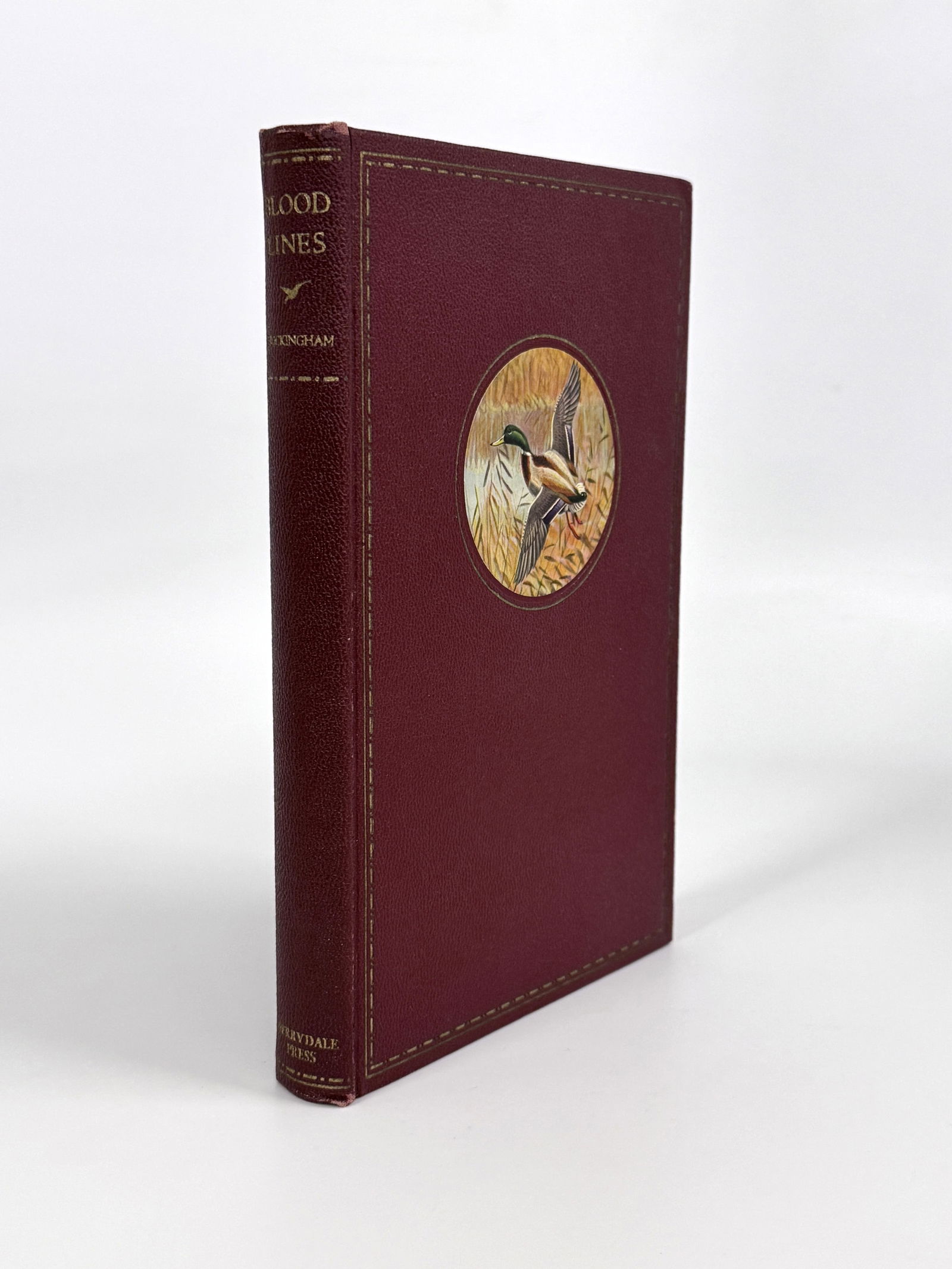 Blood Lines - Derrydale (1 of 3)