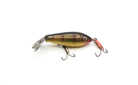 DAM Ever Ready Crawdad