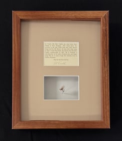 Al Troth "Elk Hair Caddis" Fly